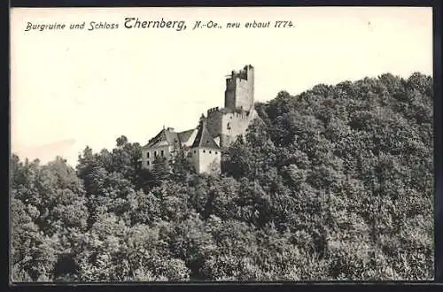 AK Thernberg /N.-Ö., Burgruine und Schloss