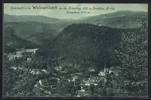 Mondschein-AK Weissenbach an der Triesting, Totalansicht mit Schneeberg aus der Vogelschau