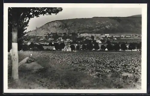 AK Bad Deutsch-Altenburg, Ortspanorama mit Rucksack am Feldrand