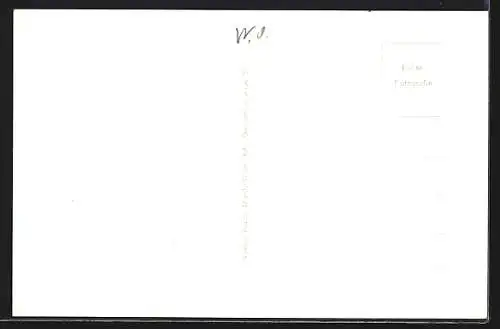 AK Wallsee an der Donau, Ortsansicht mit Umgebung