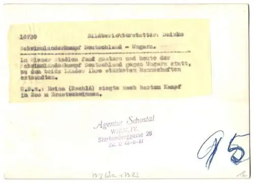 Fotografie Dainko, Ansicht Wien, Schwimmländerkampf Deutschland - Ungarn, Sieger im 200m Brustschwimmen 1939