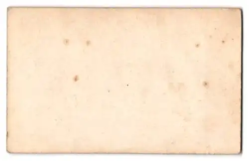 Fotografie unbekannter Fotograf und Ort, Gemälde: Satyr und Nymphen Szene