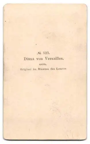 Fotografie unbekannter Fotograf und Ort, Büste der Diana von Versailles