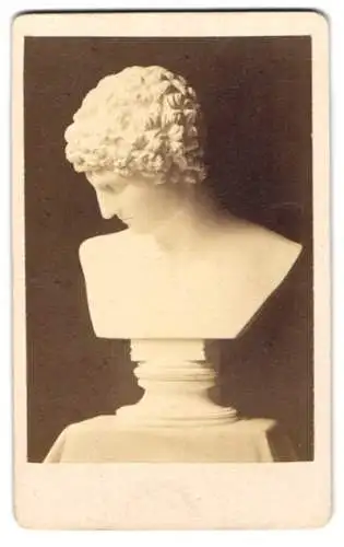 Fotografie unbekannter Fotograf und Ort, Büste des Antinous