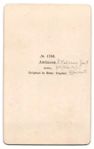Fotografie unbekannter Fotograf und Ort, Büste des Antinous