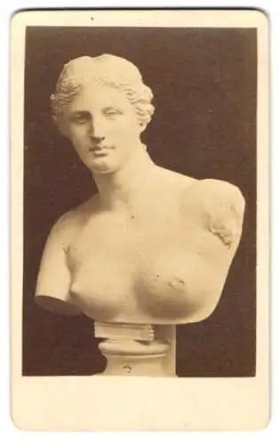 Fotografie unbekannter Fotograf und Ort, Büste der Venus von Milo