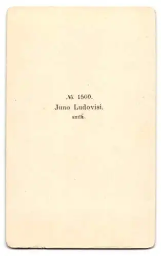 Fotografie unbekannter Fotograf und Ort, Büste der Juno Ludovisi