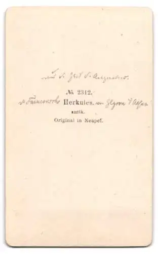 Fotografie unbekannter Fotograf und Ort, Büste eines antiken Herkules