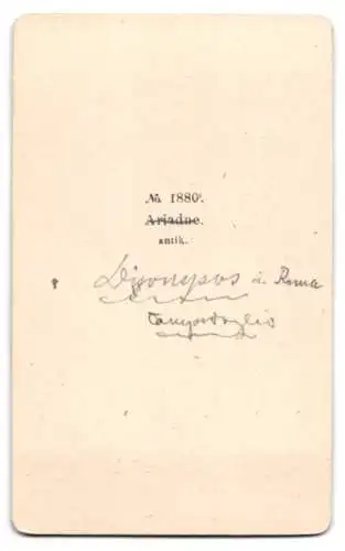 Fotografie unbekannter Fotograf und Ort, Büste: Ariadne