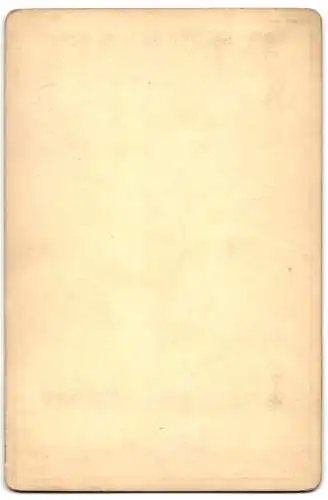 Fotografie Franz Hanfstaengl`s Kunstverlag, München, Gemälde: Medea, nach A. Feuerbach