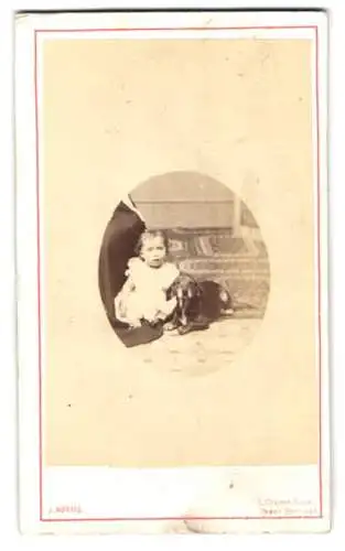 Fotografie J. Norris, London, kleines Mädchen im weissen Kleid nebst ihrem Hund auf dem Teppich