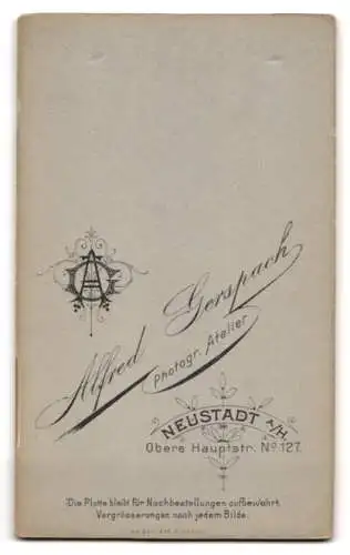 Fotografie A. Gerspach, Neustadt a. H., junger Knabe als Maler mit Schürze und Bildmappe