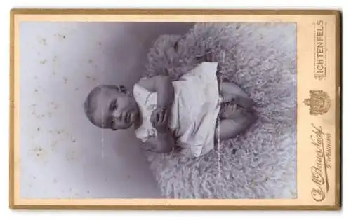 Fotografie Ch. M. Bauer Nachf., Lichtenfels, Seitenproträts der Fotografen von Blumen umgeben