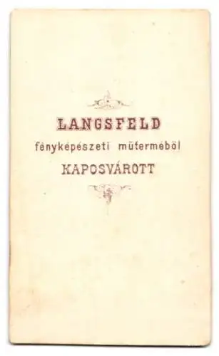 Fotografie Langsfeld, Kaposvár, eleganter Herr mit Zylinder