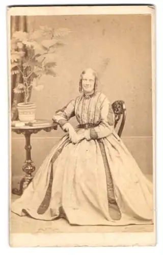 Fotografie Theweneti Brothers, Bath, Henrietta Street 29, sitzende Dame mit Pflanze