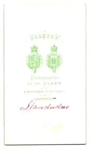 Fotografie S Oglesby, Preston, Dame am Schreibtisch mit Buch