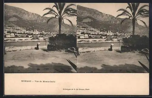 Stereo-AK Monte-Carlo, Vue Générale