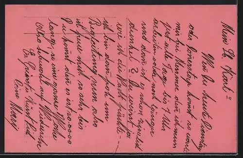 Foto-AK BNK Nr. 35909 /5: Paar sitzt auf einer Wiese