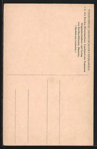 AK Greifswald, Jakobikirche mit Domstrasse