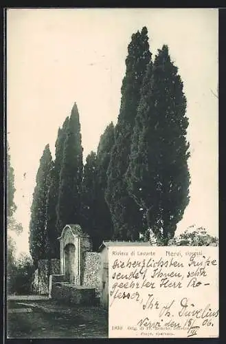 AK Nervi, Riviera di Levante