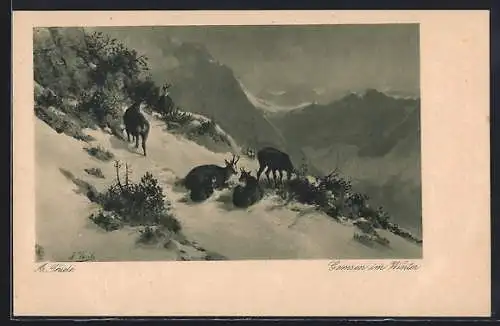Künstler-AK Arthur Thiele: Gemsen im Winter