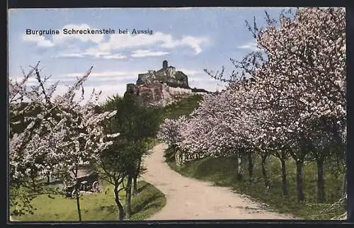 AK Schreckenstein, Blick auf Burgruine im Frühling