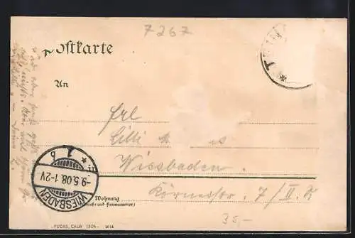 AK Bad Teinach, Strassenpartie mit Badhotel und Hotel zum Hirsch