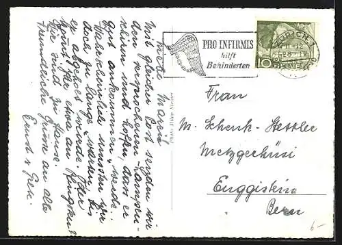 AK Zürich, 2. Blumen-Ausstellung im Hallenstadion 1955, Bluem-Paradies mit Wasserfall