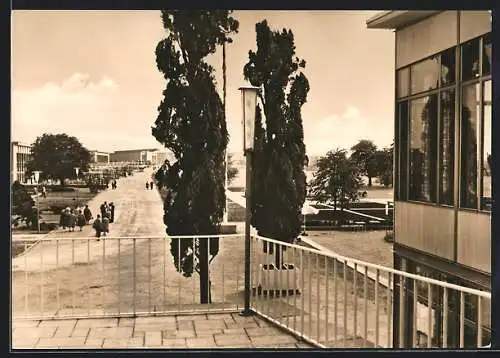 AK Erfurt, 1. Internationale Gartenbauausstellung der sozialistischen Staaten, Hauptweg auf dem Ausstellungsgelände