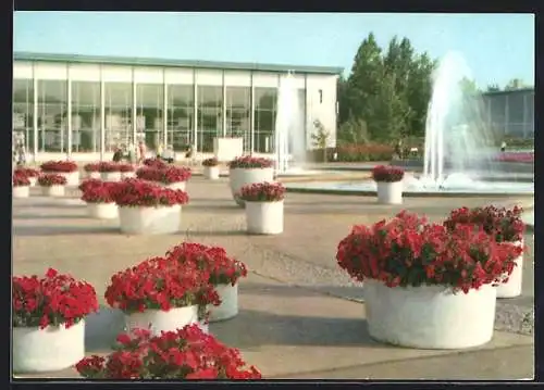 AK Erfurt, Internationale Gartenbauausstellung, Auf dem Festplatz