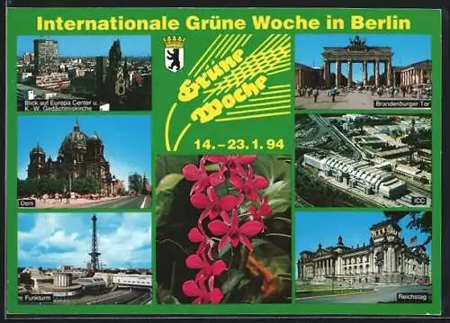 AK Berlin, Internationale Grüne Woche 1994, Europa-Center und K.-W. Gedächtniskirche, Brandenburger Tor, Funkturm