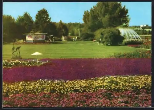 AK Erfurt, Internationale Gartenausstellung, Ausschnitt der grossen Blumenwiese