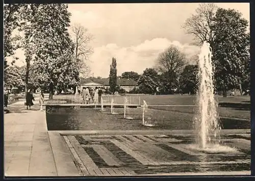 AK Erfurt, Internationale Gartenausstellung, Wasserachse mit Wasserpflanzen