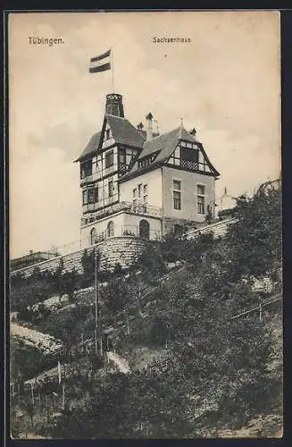 AK Tübingen, Blick auf das Sachsenhaus