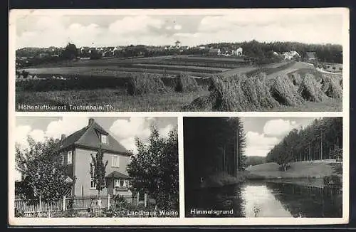 AK Tautenhain /Th., Landhaus Weise, Flusspartie am Himmelsgrund, Ortsansicht