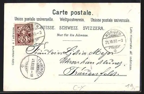 Lithographie Horgen, Secundarschule, Protest. u. kath. Kirche, Wappen, Ortsansicht mit Wasser- u- Bergblick