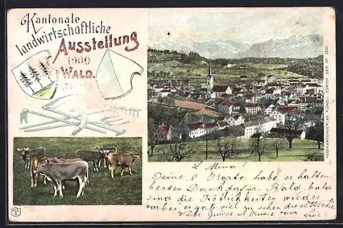 AK Wald, Kantonale landwirtschaftliche Ausstellung 1900, Ortsansicht, Kühe auf der Weide