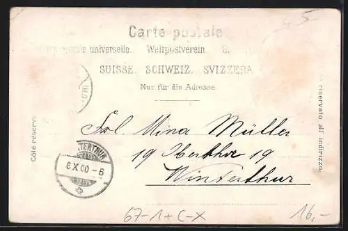 AK Wald, Kantonale landwirtschaftliche Ausstellung 1900, Ortsansicht, Kühe auf der Weide