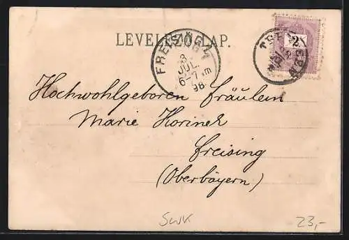 Lithographie Trencsen Teplicz, Hammambad, Katonatiszti gyogihaz, Villa Hungaria, Cursalon