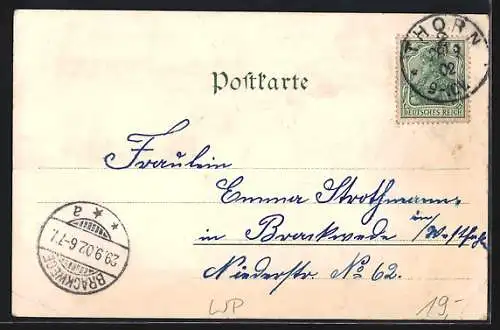 Lithographie Thorn, Artushof, Eisenbahnbrücke, Flösserei