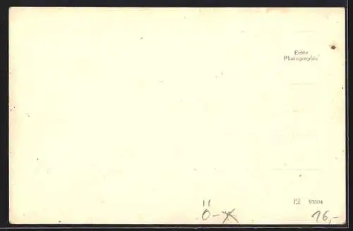 AK Fuschl am See, Badestrand des Hotel Seerose