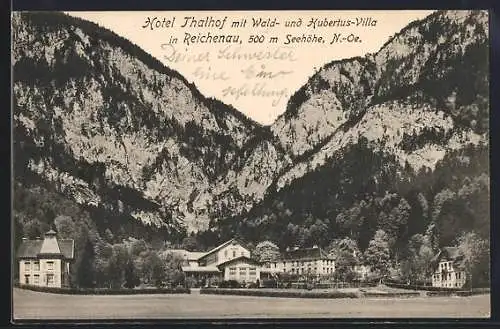 AK Reichenau /N.-Ö., Hotel Thalhof mit Wald- u. Hubertus-Villa