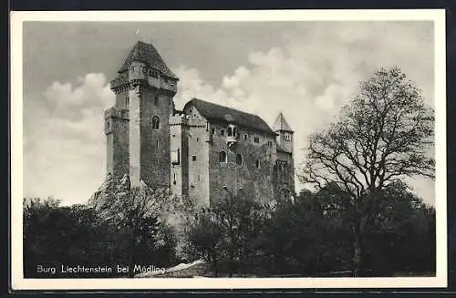 AK Mödling, Burg Liechtenstein