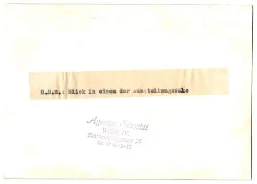 9 Fotografien Wilhelm Sturm, Ansicht Karlsbad, Edles Porzellan im Laden präsentiert, Porzellanmaler bei der Arbeit