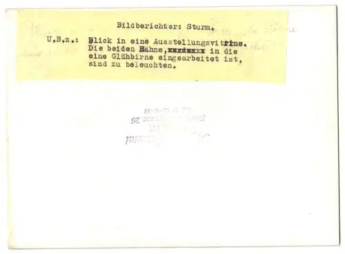 17 Fotografien Wilhelm Sturm, Ansicht Haida / Sudetengau, Manufaktur für Glasschmuck & Gebrauchsgut, Produktions-Ansicht