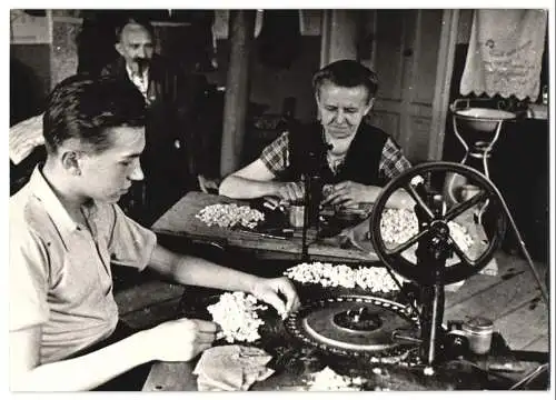 15 Fotografien Wilhelm Sturm, Ansicht Rumburg / Sudetengau, Heimtuchweberei & Kunstblumen-Manufaktur, Sparterie