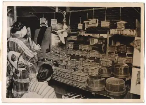 Fotografie Ansicht Tokio / Tokyo, Ginza-Strasse, Stand mit zirpenden Insekten in Käfigen werden zum Kauf angeboten 1939