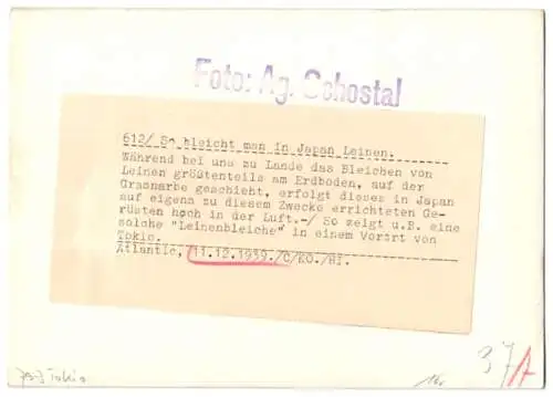 Fotografie Atlantic, Ansicht Tokio - Tokyo, Leinenbleiche auf eigens dafür errichteten Gerüsten 1939