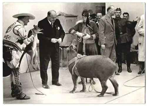 Fotografie Wilhelm Sturm, Ansicht Wien, Zirkus Sarrasani - Dompteur mit Tapir auf der Wiener Messe 1938