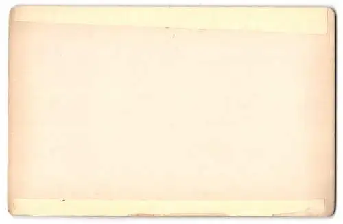 Fotografie Zedler & Vogel, Darmstadt, Ansicht Bremen, Rathskeller Innenansicht